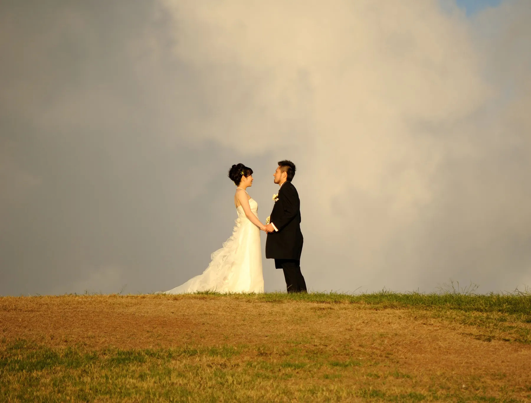 Couple holding hands on a hilltop in warm afternoon light